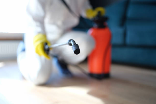 Best Air Quality Testing for Mold Spores  in Belle Mead, NJ